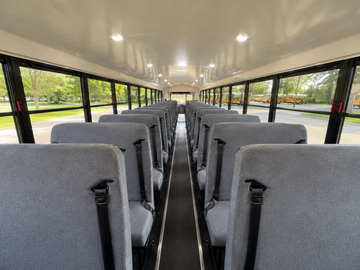 school bus rentals for woodbridge area nature and outdoor field trips
